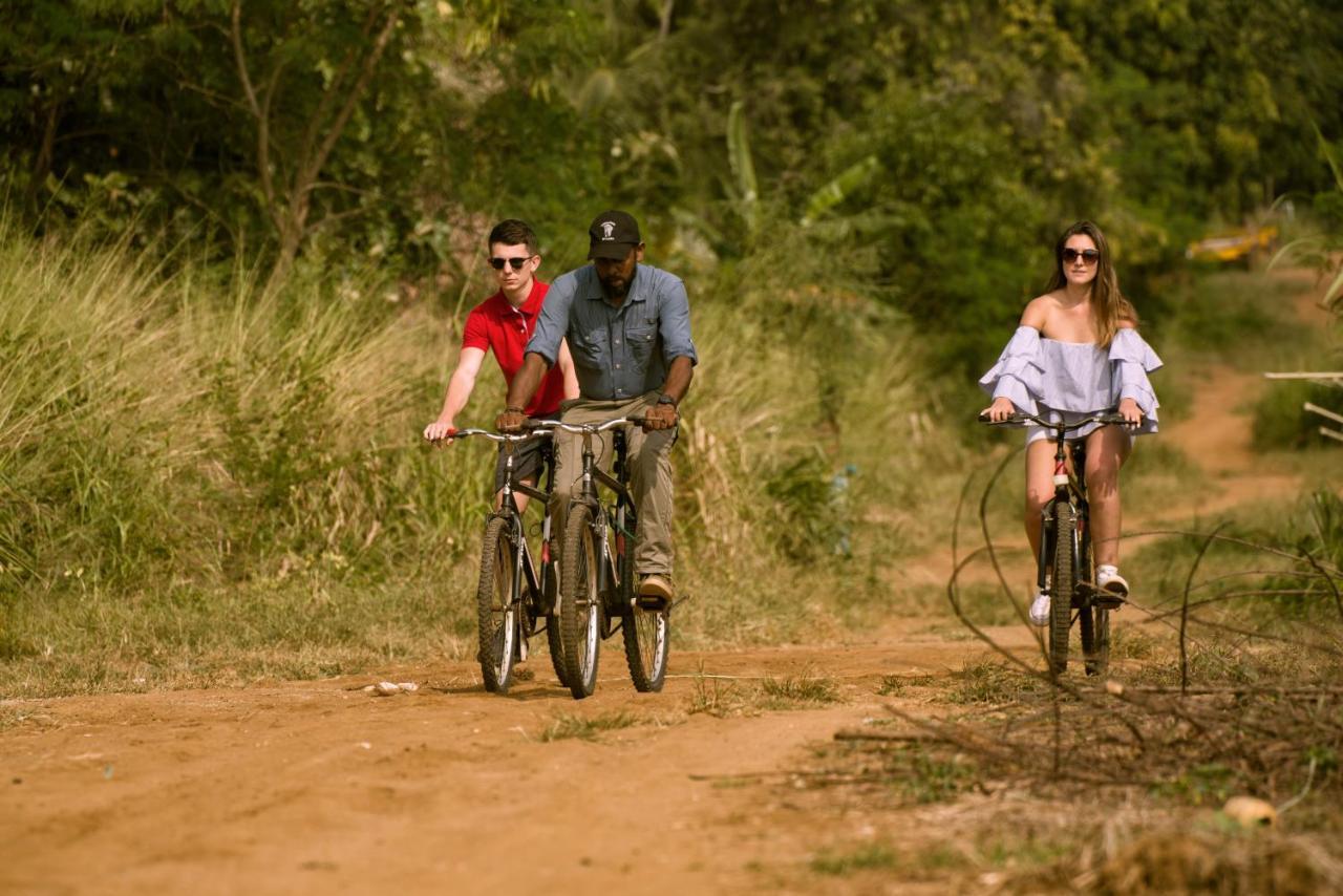 Elephant Trail Udawalawe Ngoại thất bức ảnh