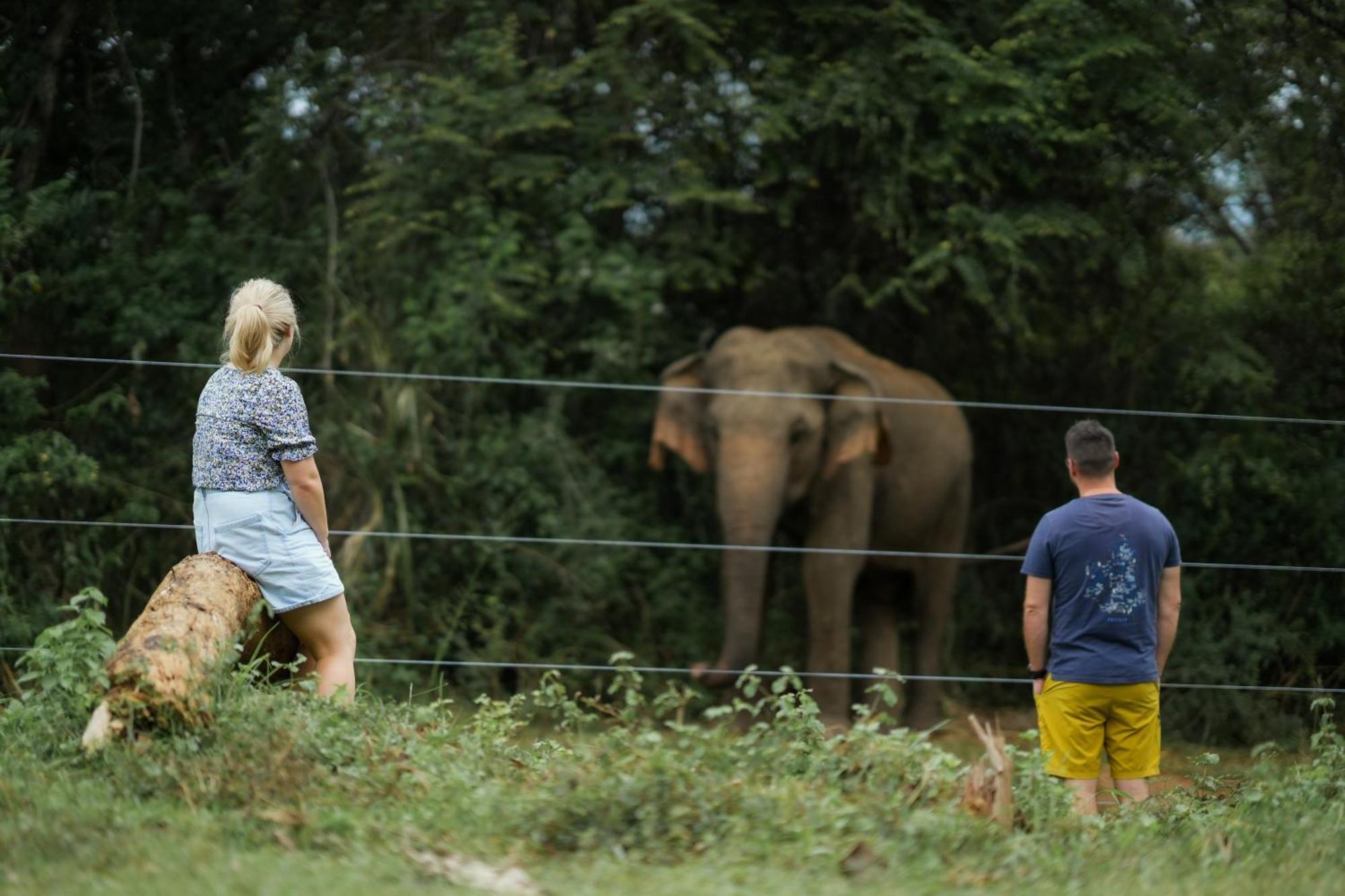 Elephant Trail Udawalawe Ngoại thất bức ảnh