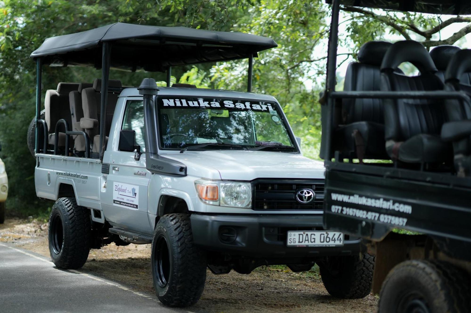 Elephant Trail Udawalawe Ngoại thất bức ảnh